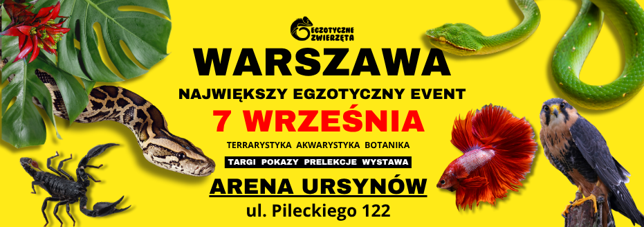 Baner reklamowy: Egzotyczne Zwierzęta Warszawa