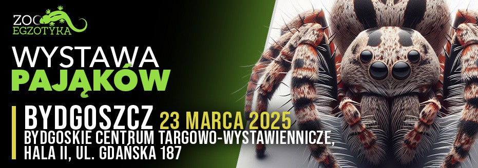 Wystawa Pająków