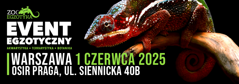 Zooegzotyka