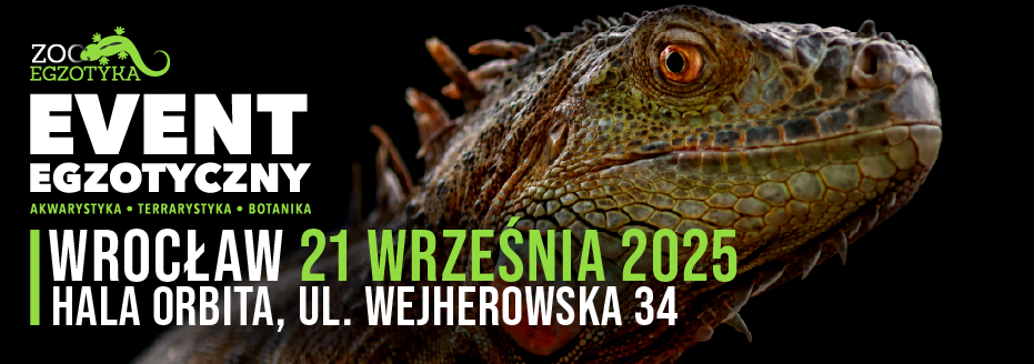 Zooegzotyka