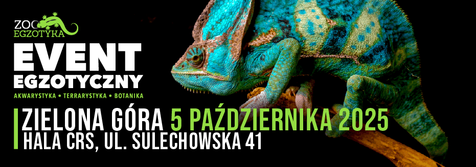 Zooegzotyka Zielona Góra