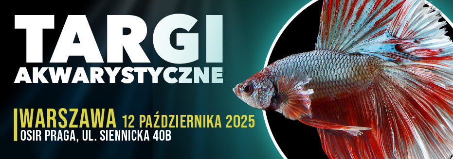 Akwarystyka
