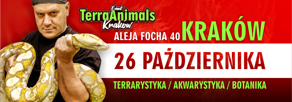 Terra Animals