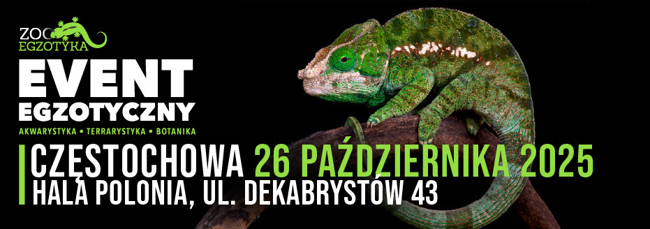 ZooEgzotyka Częstochowa