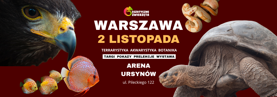 Baner reklamowy: Egzotyczne Zwierzęta