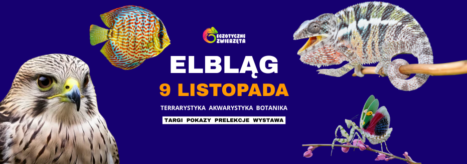 Baner reklamowy: Egzotyczne Elbląg