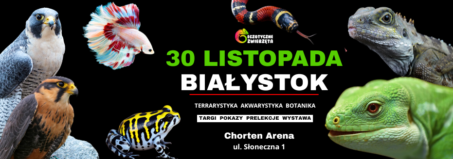 Baner reklamowy: Egzotyczne Zwierzęta