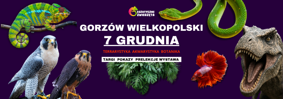 Baner reklamowy: Egzotyczne