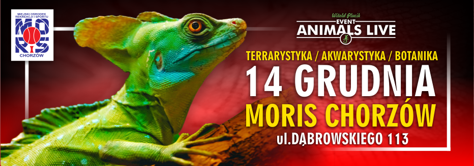 Baner reklamowy: Animals Live