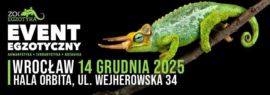 Baner reklamowy: Zooegzotyka