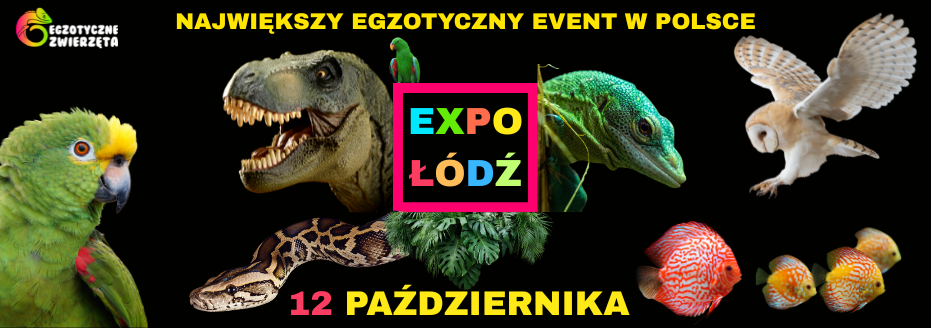 Egzotyczne Zwierzęta Łódź