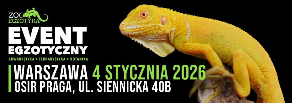 Baner reklamowy: Zooegzotyka