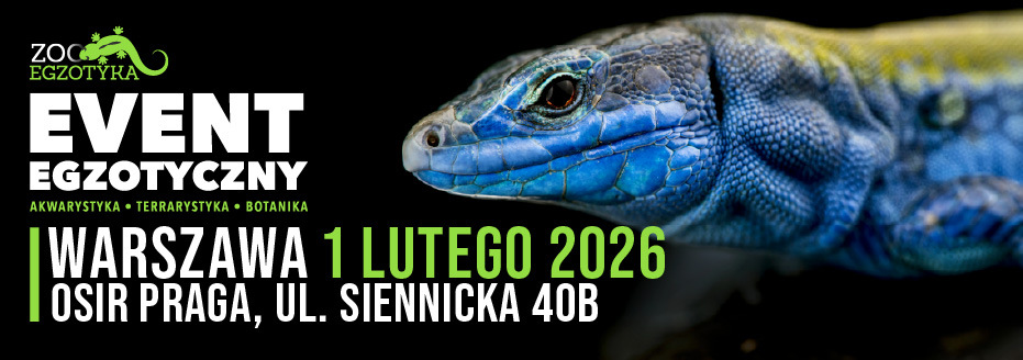 Baner reklamowy: Zooegzotyka Warszawa