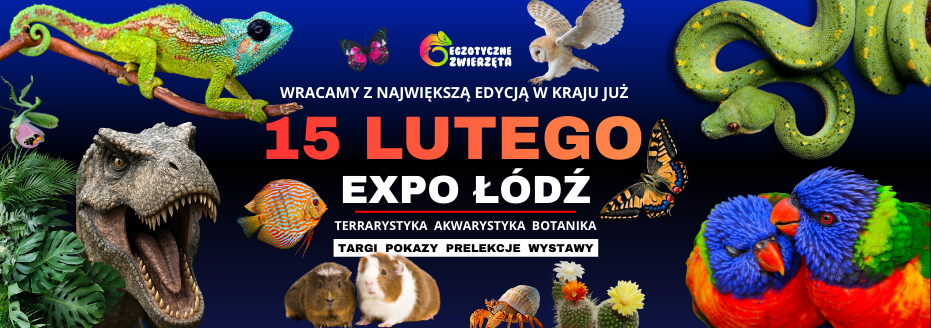 Baner reklamowy: Egzotyczne Łódź