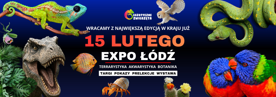 Baner reklamowy: Egzotyczne Łódź