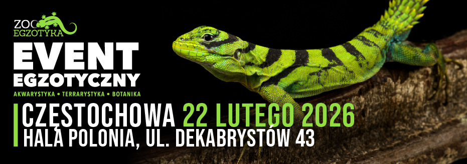 Baner reklamowy: Zooegzotyka Częstochowa