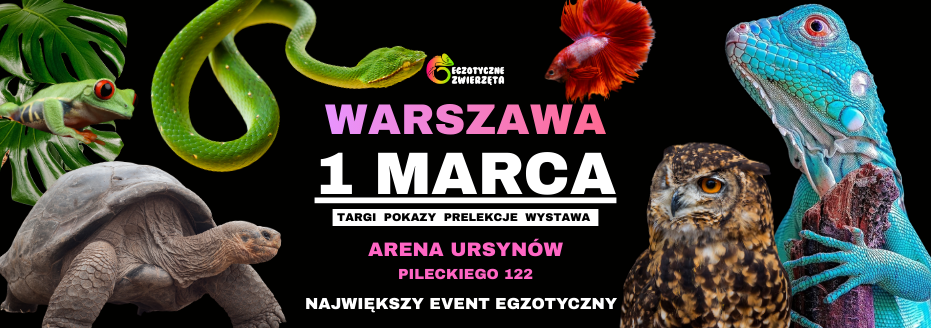 Baner reklamowy: Egzotyczne Warszawa