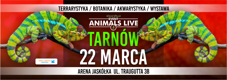 Baner reklamowy: Animals Live