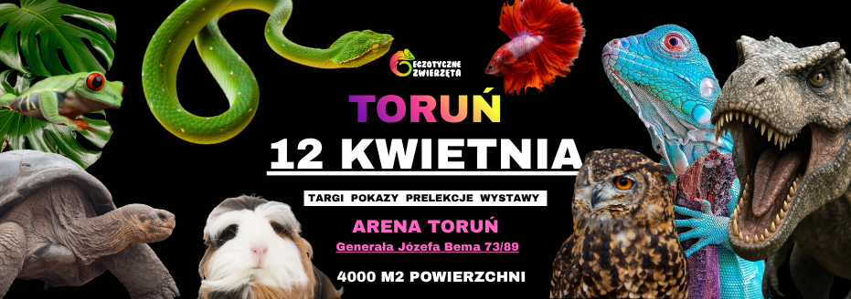 Baner reklamowy: Egzotyczne Toruń
