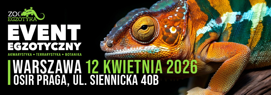 Baner reklamowy: Zooegzotyka