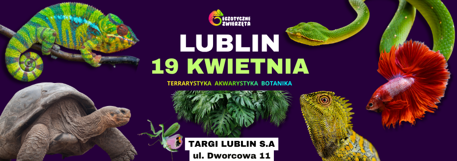 Baner reklamowy: LUBLIN 19 KWIETNIA - EGZOTYCZNE ZWIERZĘTA