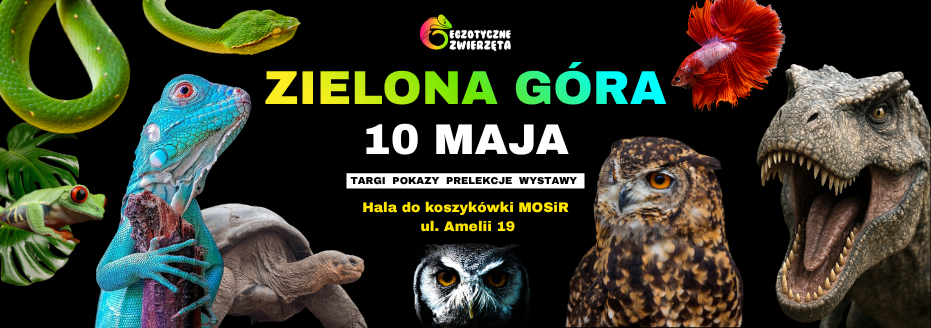 Baner reklamowy: Egzotyczne Zwierzęta - Zielona Góra