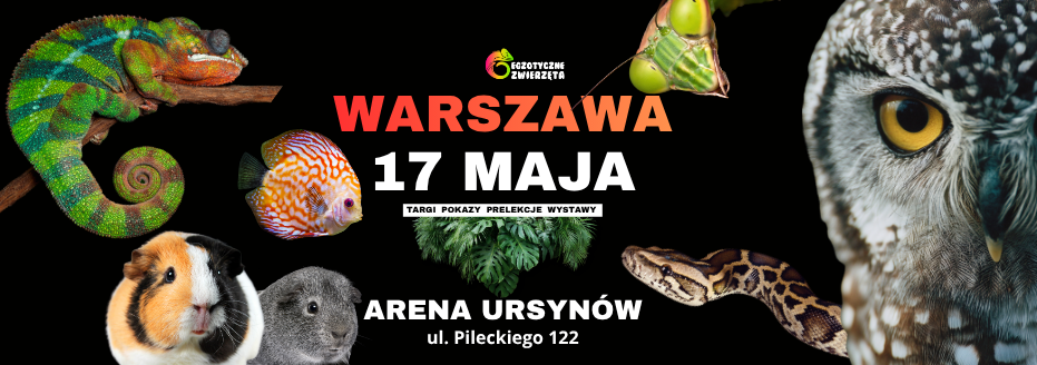 Baner reklamowy: Egzotyczne