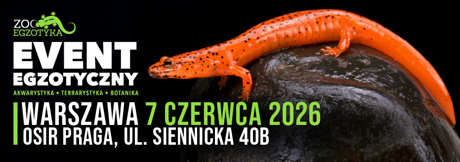 Baner reklamowy: Zooegzotyka Warszawa