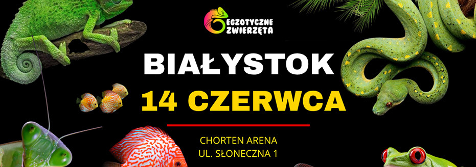 Baner reklamowy: Egzotyczne