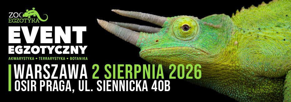 Baner reklamowy: Zooegzotyka