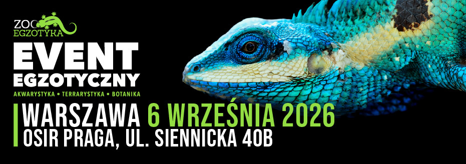 Baner reklamowy: Zooegzotyka