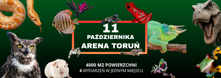 Baner reklamowy: Egzotyczne Zwierzęta