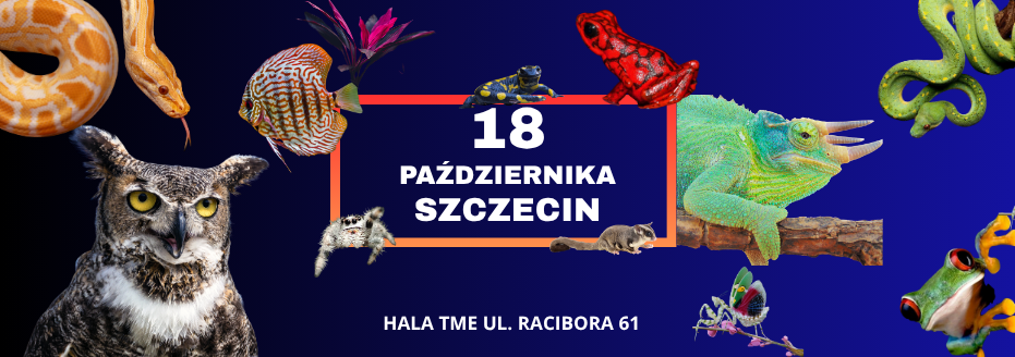 Baner reklamowy: Egzotyczne Zwierzęta