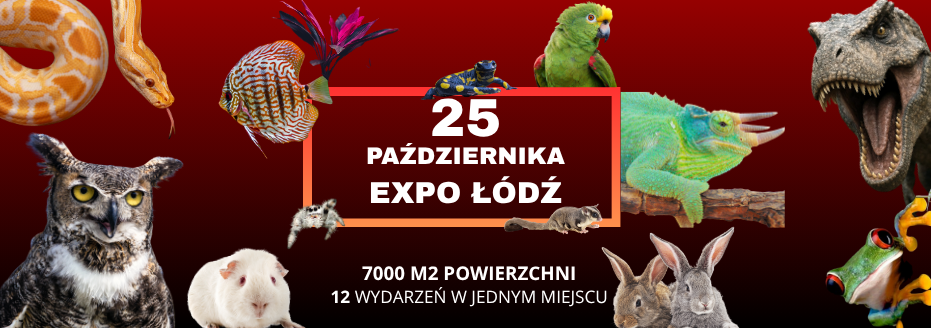 Baner reklamowy: Egzotyczne Zwierzęta