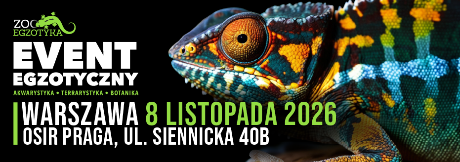 Baner reklamowy: zooegzotyka