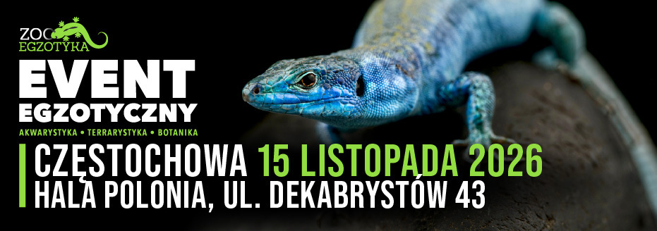 Baner reklamowy: zooegzotyka