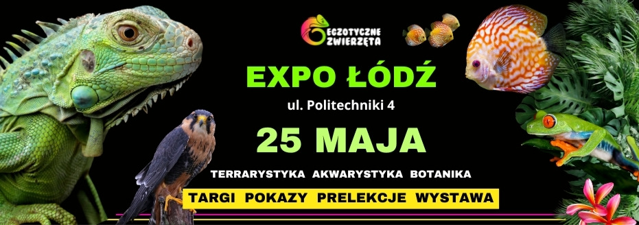 Egzotyczne Zwierzęta Łódź