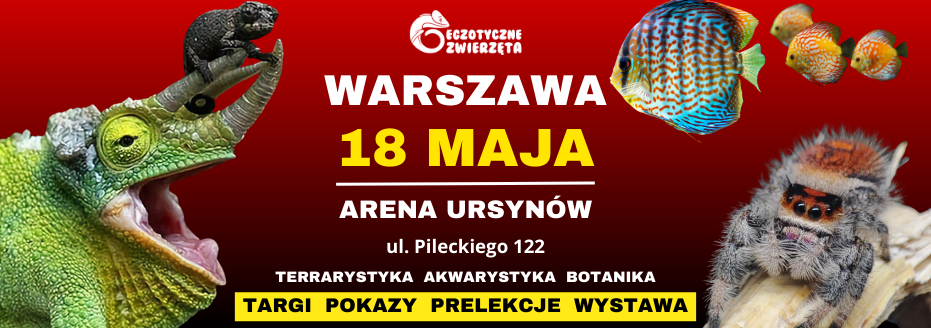 Egzotyczne Zwierzęta Warszawa