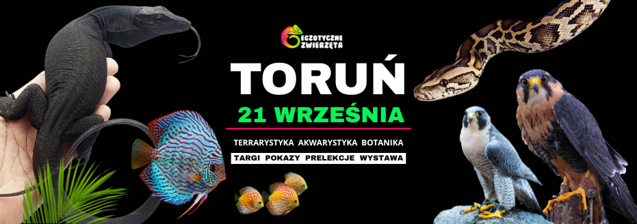 Egzotyczne Zwierzęta Toruń