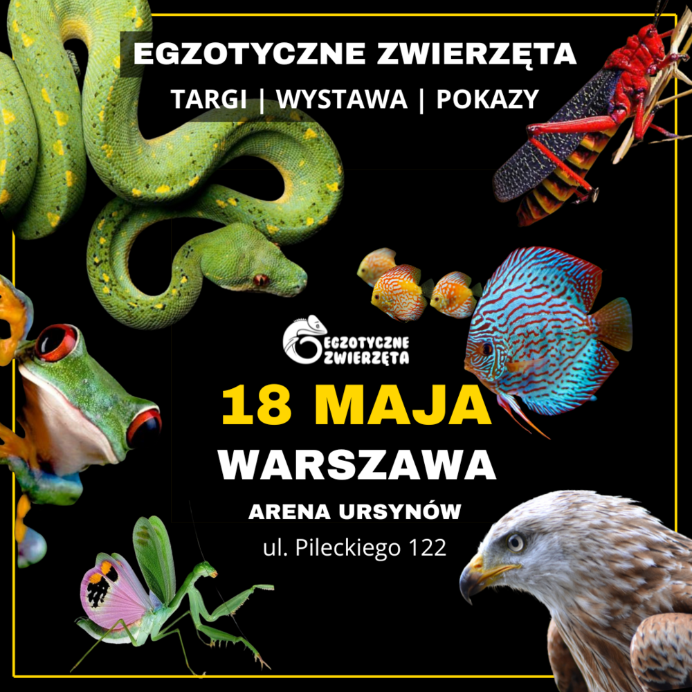 Egzotyczne Zwierzęta