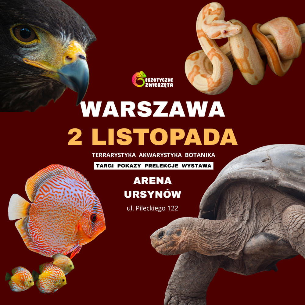 Baner reklamowy: Egzotycze Zwierzęta Warszawa