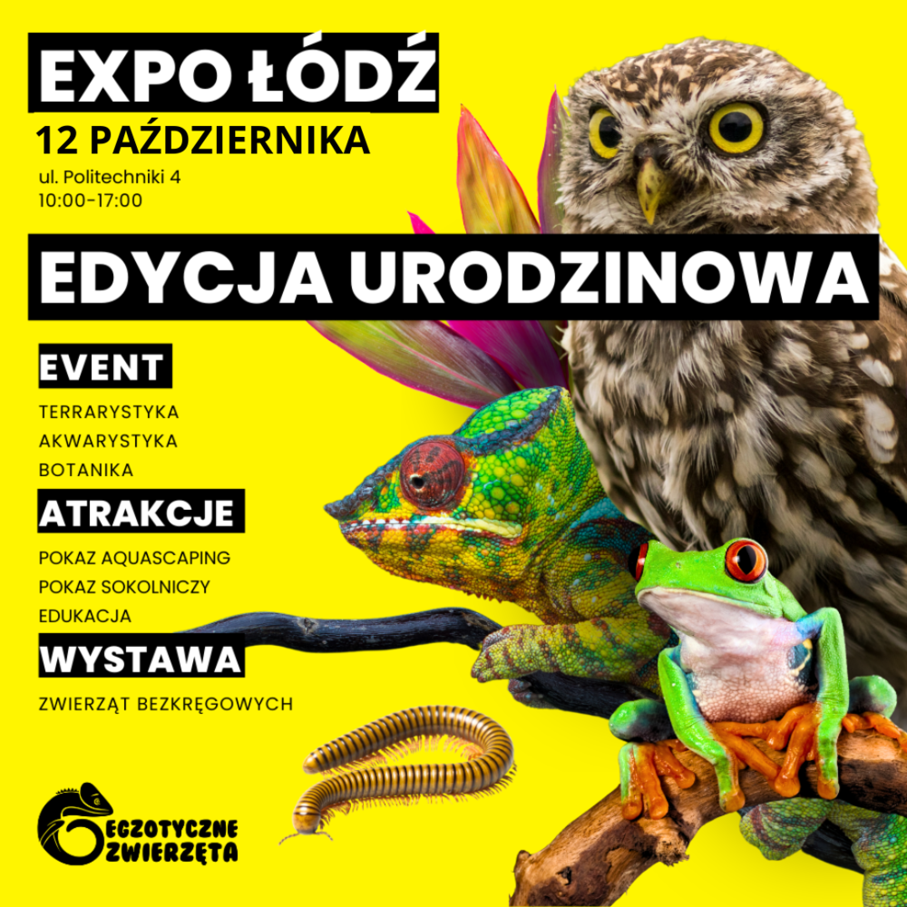 Egzotyczne