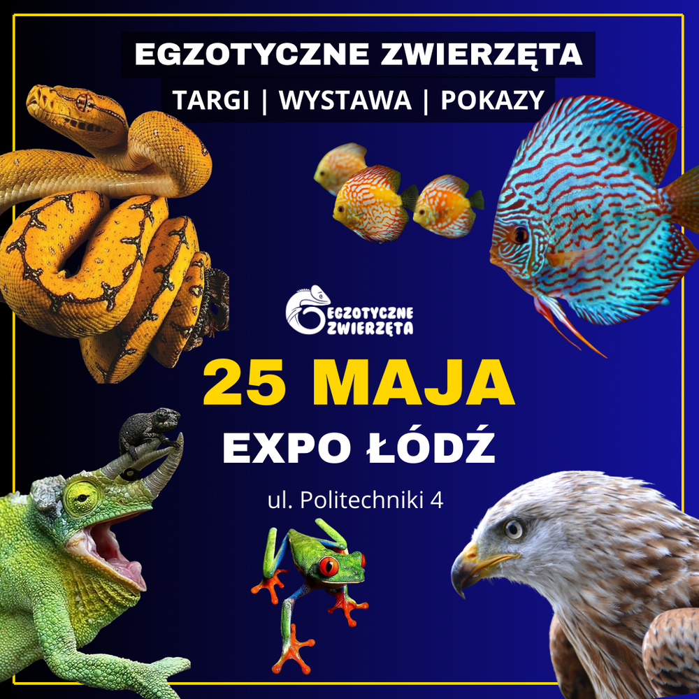 EGZOTYCZNE ZWIERZĘTA