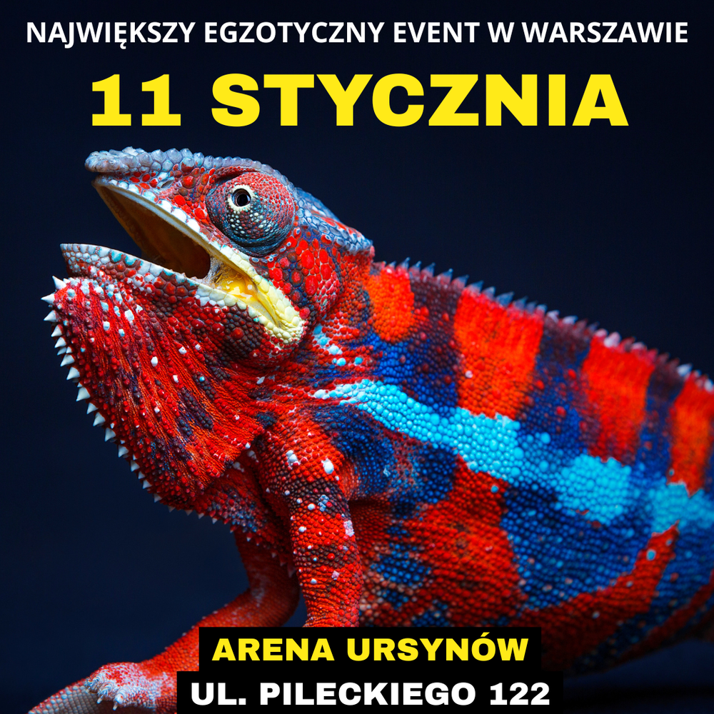 Baner reklamowy: Egzotyczne