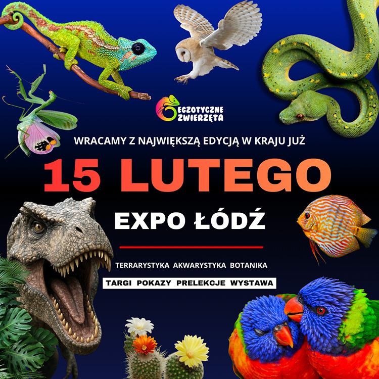 Baner reklamowy: Egzotyczne łódź