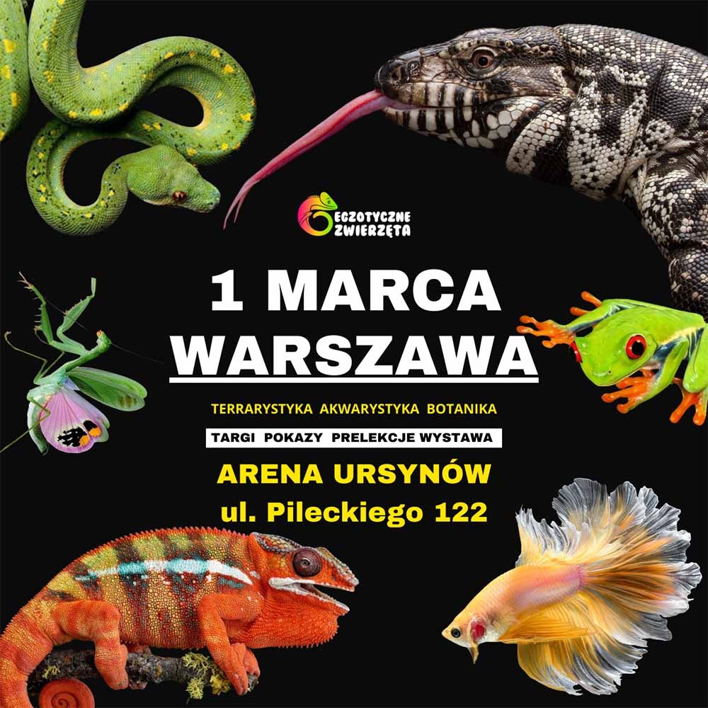 Baner reklamowy: Egzotyczne Zwierzęta