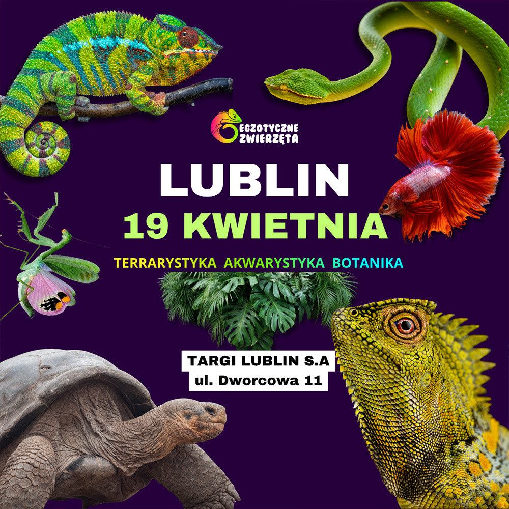 Baner reklamowy: Egzotyczne lublin