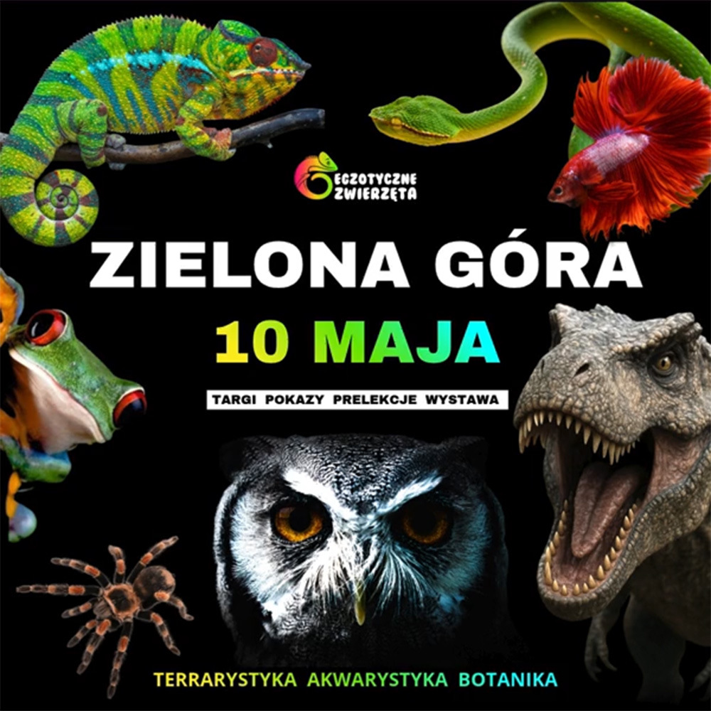 Baner reklamowy: EGZOTYCZNE ZWIERZĘTA