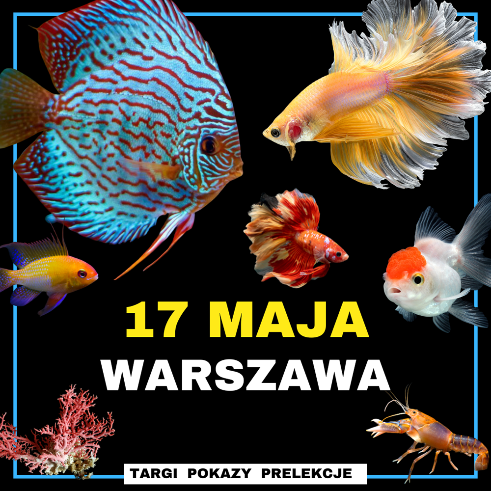 Baner reklamowy: Egzotyczne Warszawa