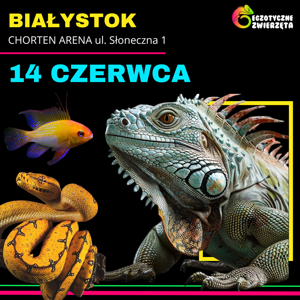 Baner reklamowy: Egzotyczne